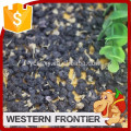 first class quality / dried style black goji berry